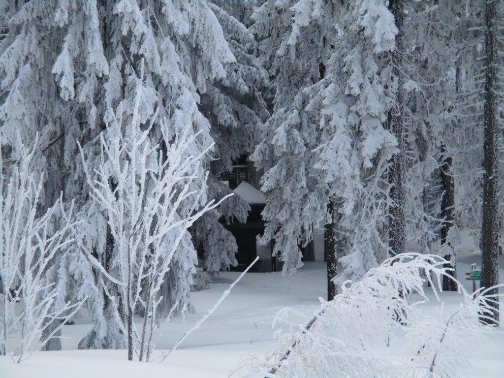 Ederer Waldmuenchen